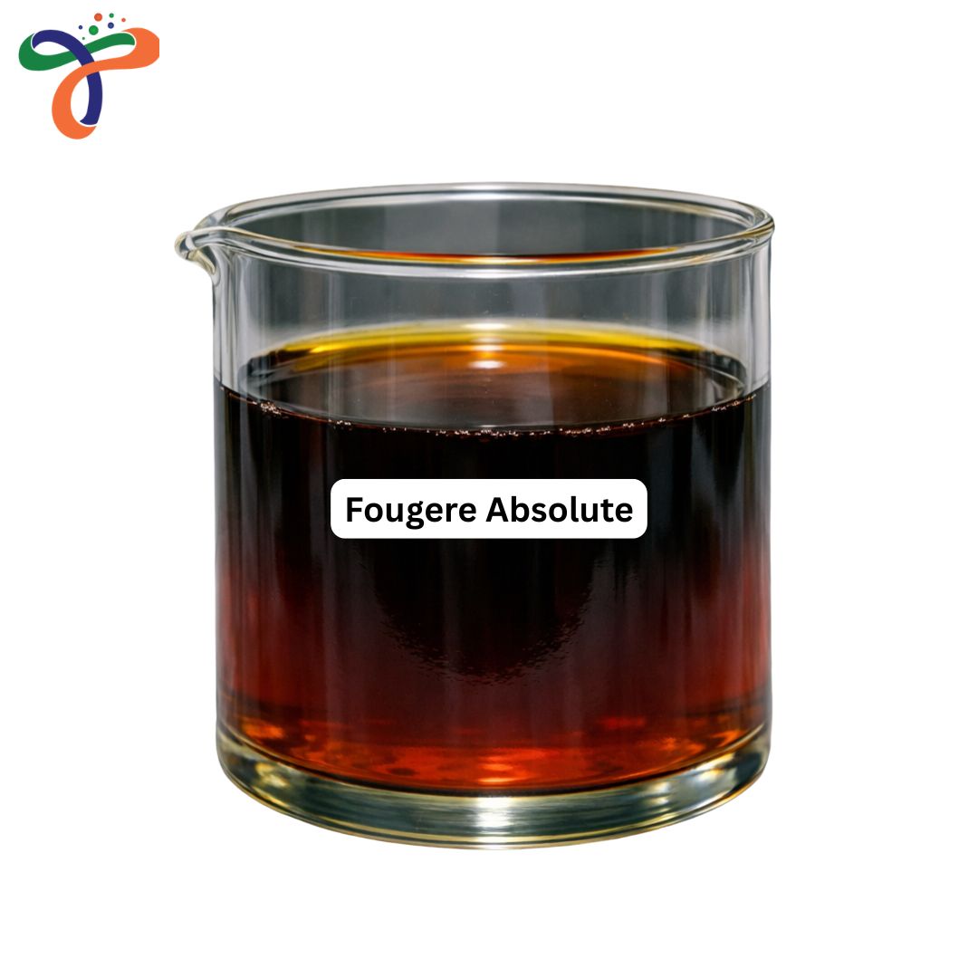 Fougere Absolute